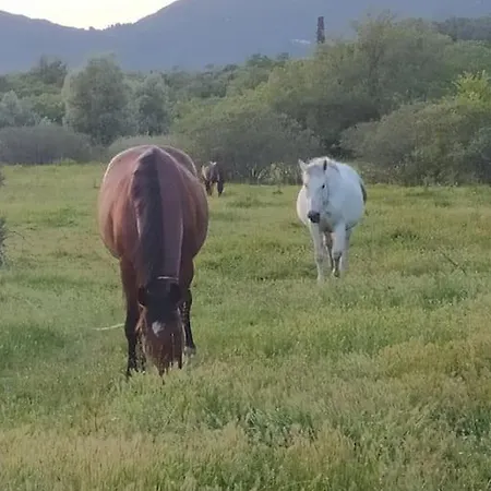 Elm 别墅 Pouládes