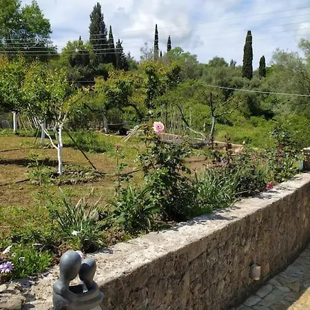 Vila Elm *