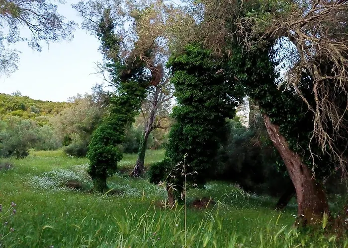 Villa Elm