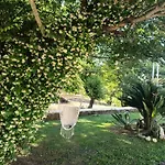 Vilă Elm