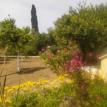 Elm Πουλάδες