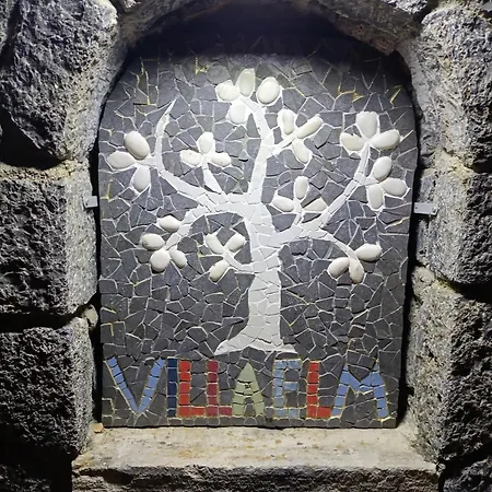Βίλα Elm