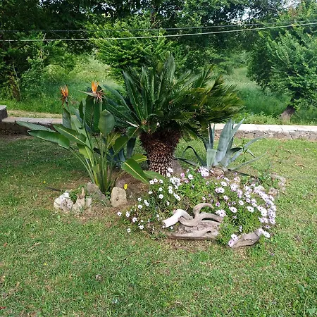 Villa Elm *