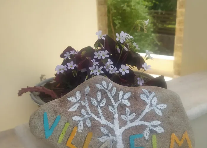 Villa Elm *