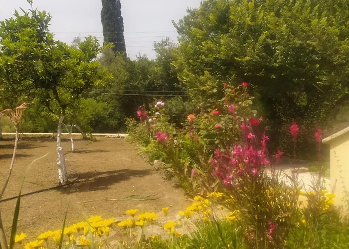 Elm Pouládes