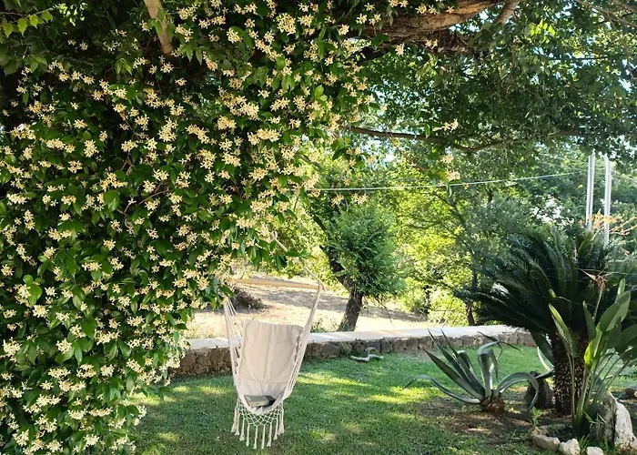 Villa Elm
